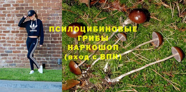 mix Аркадак