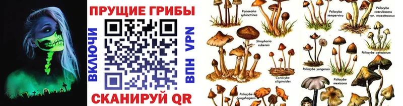Галлюциногенные грибы MAGIC MUSHROOMS  Кемь 